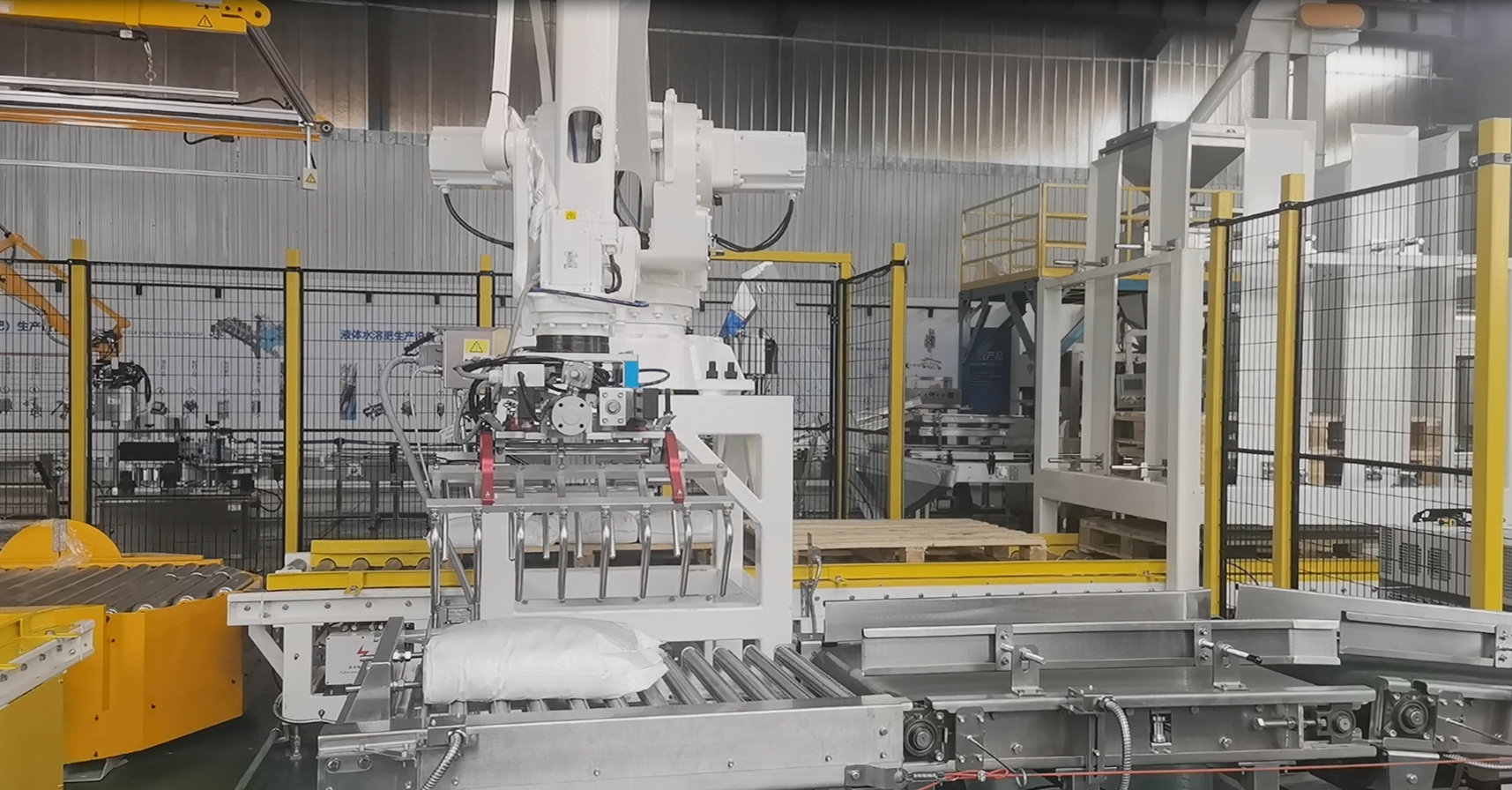 Robot rear palletizing